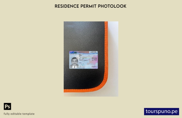 listo para imprimir plantilla frontal de aspecto fotográfico del permiso de re 4
